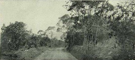 Trecho da estrada de rodagem entre as cidades de porto feliz e tiete, quando na sua inauguracao, em 1923