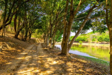 5 atividades de hotel fazenda que você precisa experimentar