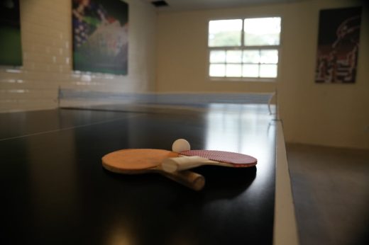 Ararita Hotel Fazenda - Salao de Jogos (21)