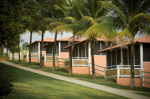 Parques dos Pássaros