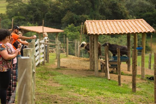 Visita à Fazenda